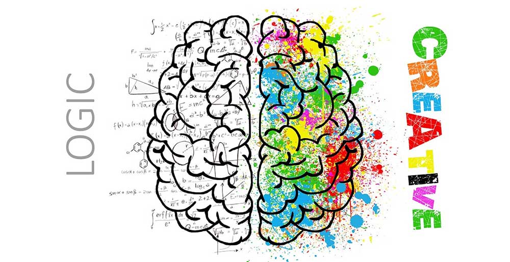 Brain showing logic side and creative side