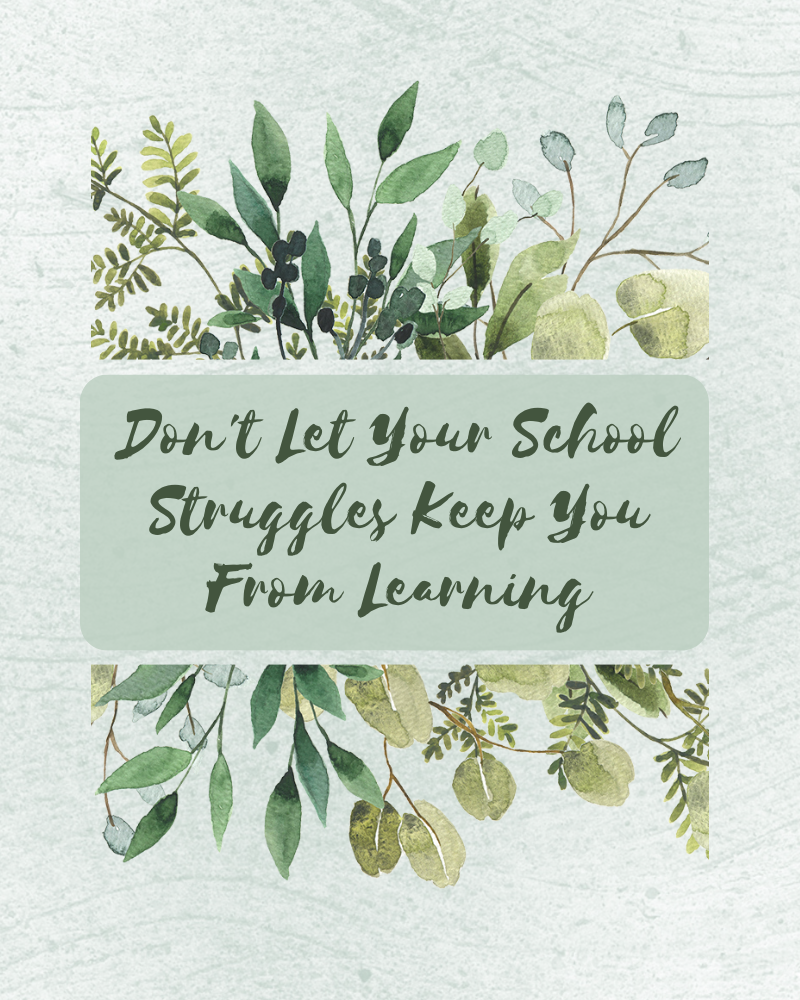 Don't Let Your School Struggles Keep You From Learning