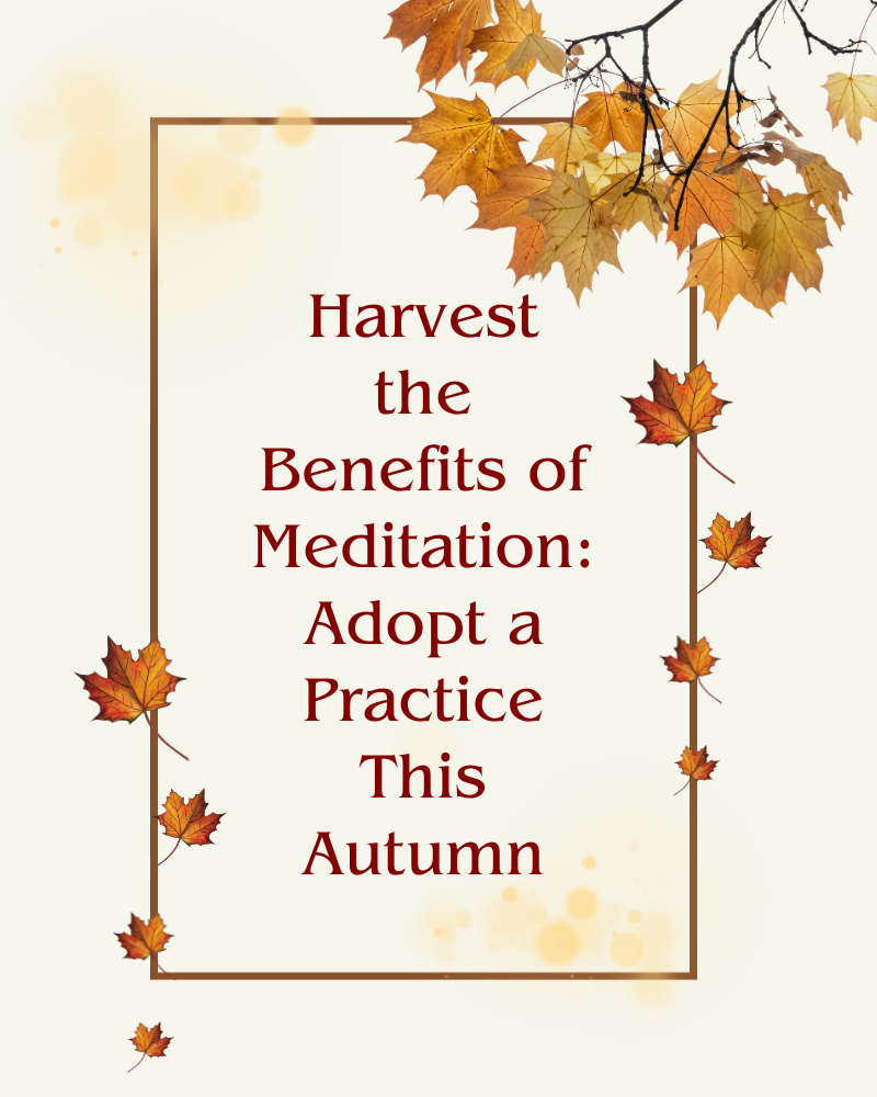 Harvest the Benefits of Meditation: Adopt a Practice This Autumn