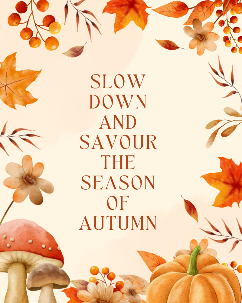 Slow Down and Savour the Season of Autumn